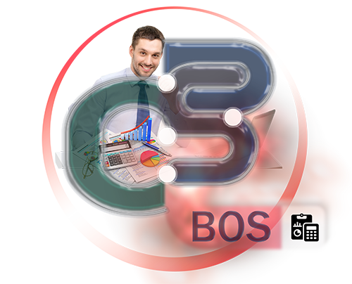 BOS accounting & financial management software