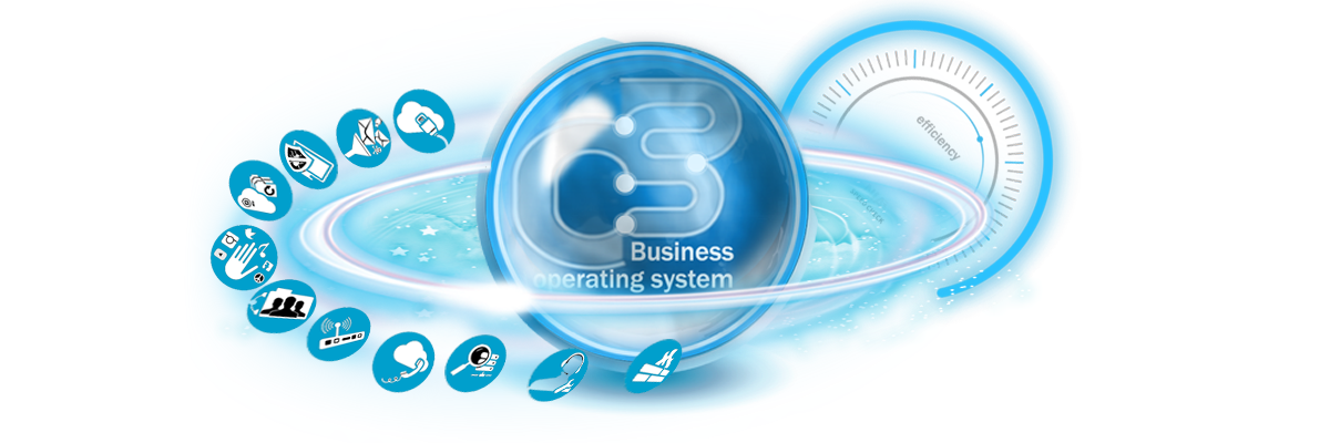 Business evaluation service